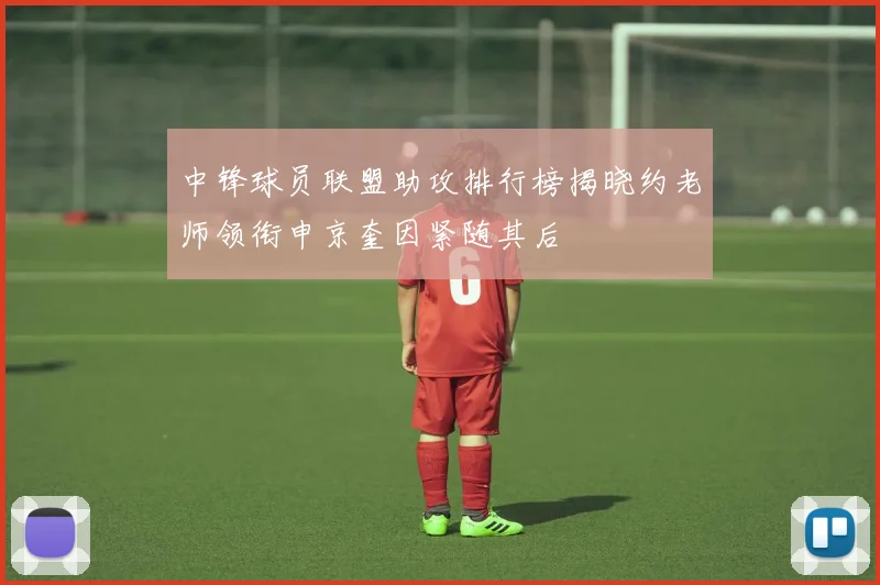 中锋球员联盟助攻排行榜揭晓约老师领衔申京奎因紧随其后