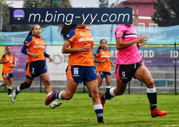 App Interface Preview