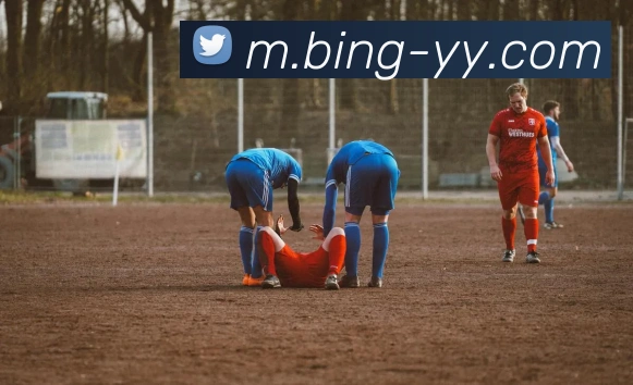 易游体育APP 封面图